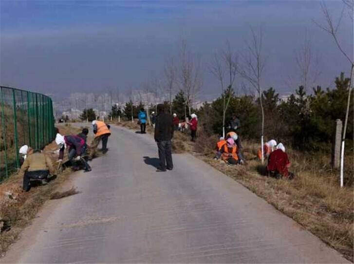 ������ȼ��