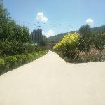 �ɼ�ɽ�ֳ��羰