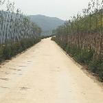 �ɼ�ɽ�ֳ��羰